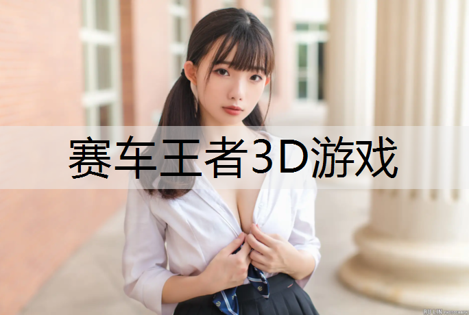 赛车王者3D游戏